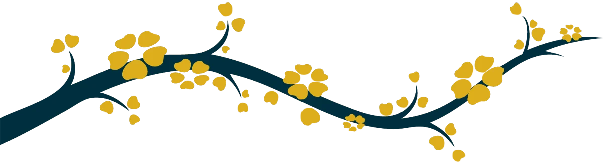 Psychologiepraktijk Shalita I Amstelveen